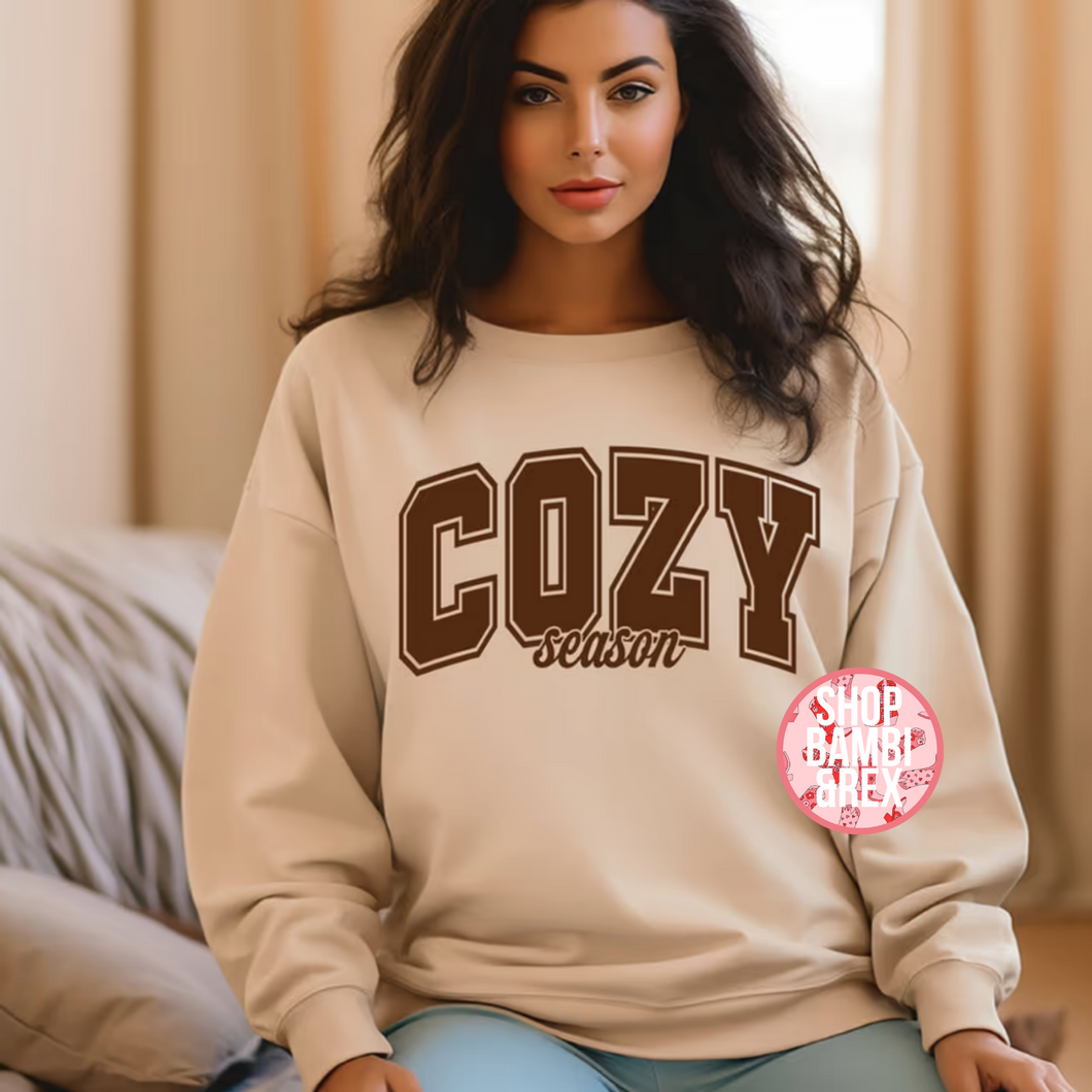 Cozy Season T Shirt OR Sweatshirt